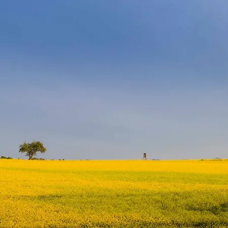 Penthaus Regine Apartmán Bruchhausen (Neuwied)