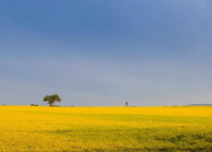 Penthaus Regine דירה Bruchhausen (Neuwied)